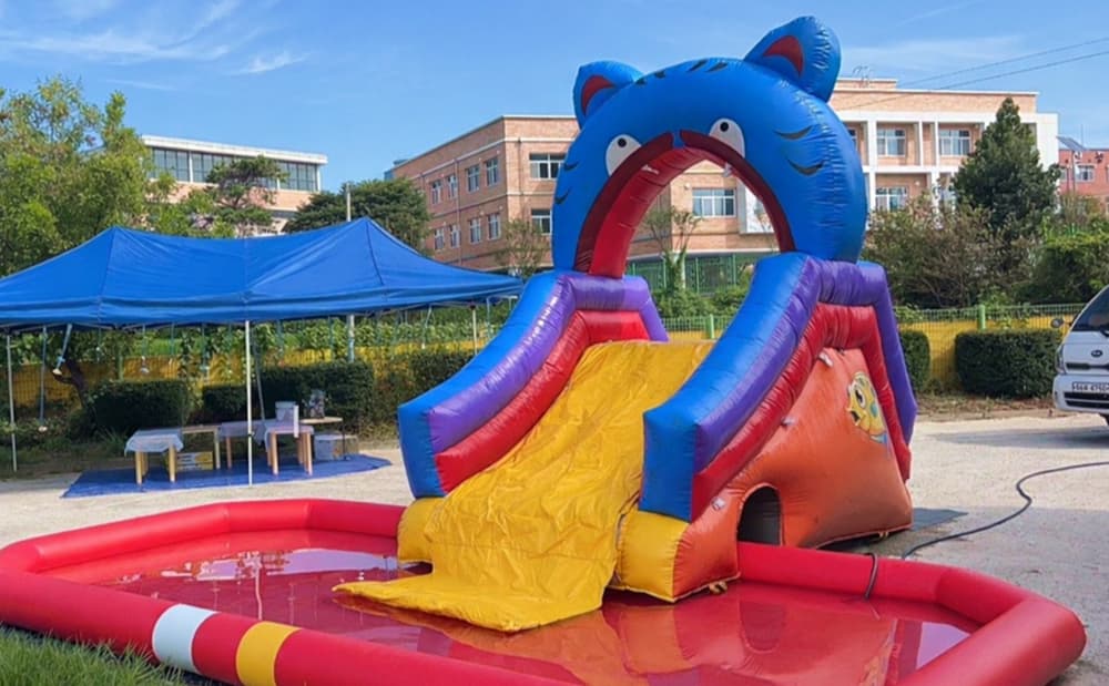 고양이 워터슬라이드