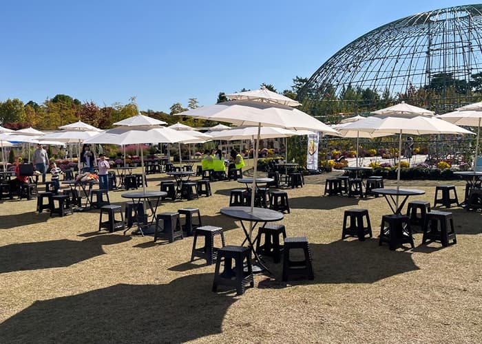 2024년 목재 페스티벌 행사