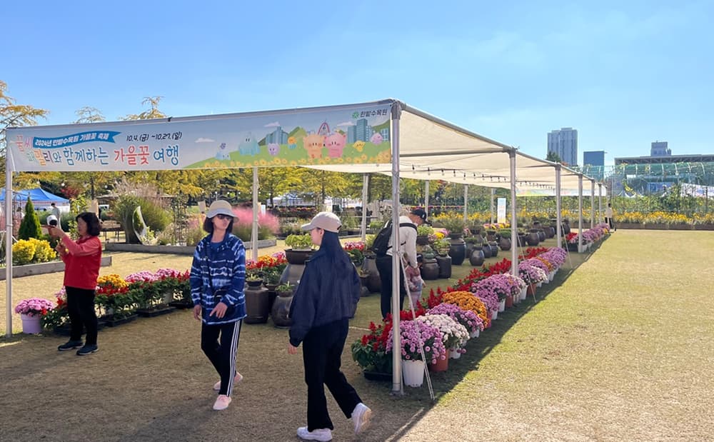 2024년 목재 페스티벌 행사