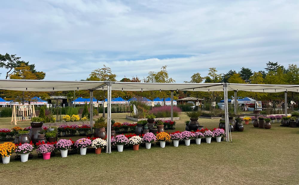 2024년 목재 페스티벌 행사