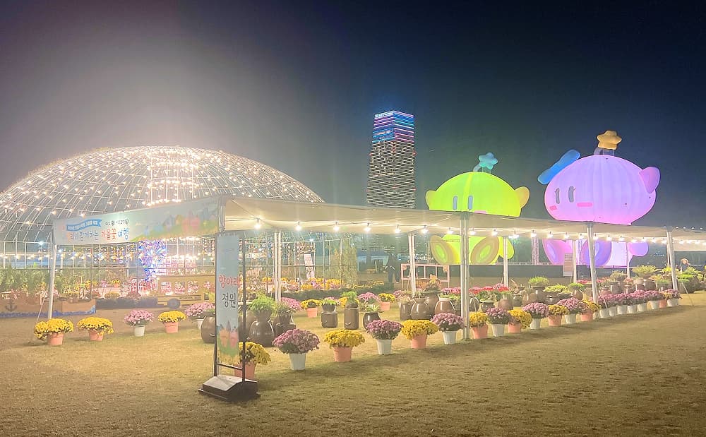 2024년 목재 페스티벌 행사